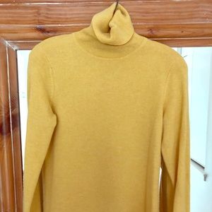 Turtleneck Sweater